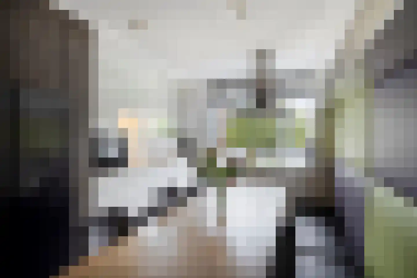 Meesweg 11 Berg en Terblijt thumbnail 8