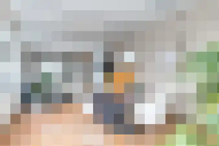 Meesweg 12 A Berg en Terblijt thumbnail 11