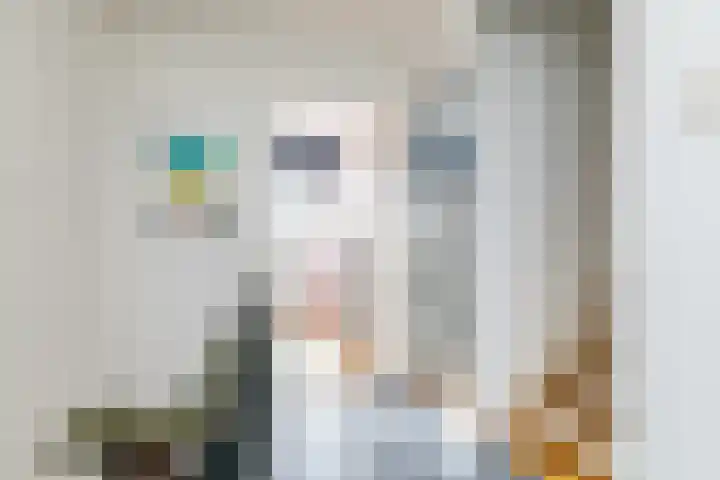 Meesweg 12 A Berg en Terblijt thumbnail 12