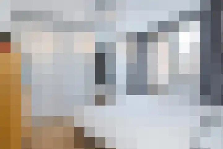 Meesweg 12 A Berg en Terblijt thumbnail 13
