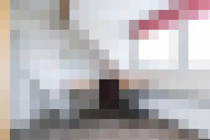 Meesweg 12 A Berg en Terblijt thumbnail 18