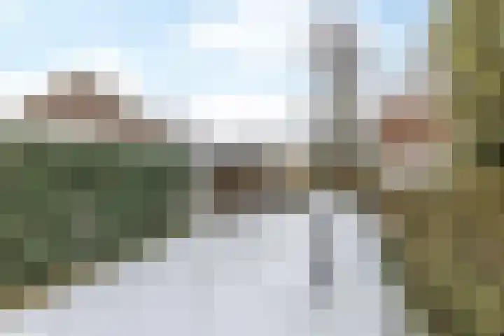 Meesweg 12 A Berg en Terblijt thumbnail 21
