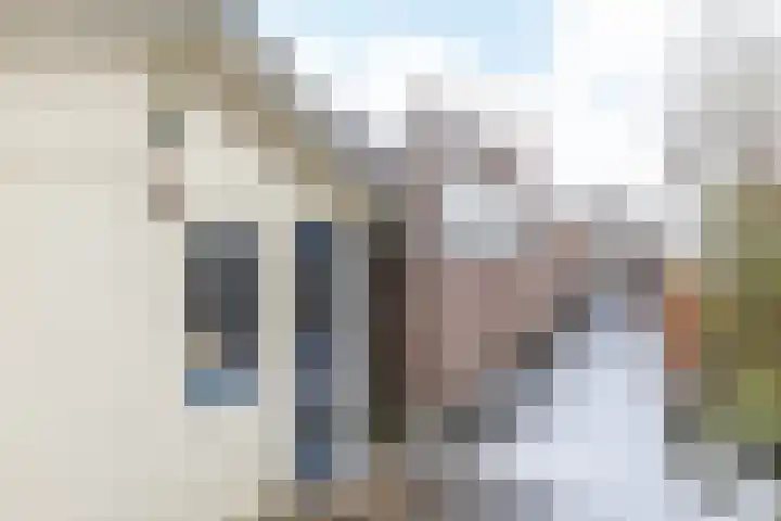 Meesweg 12 A Berg en Terblijt thumbnail 27