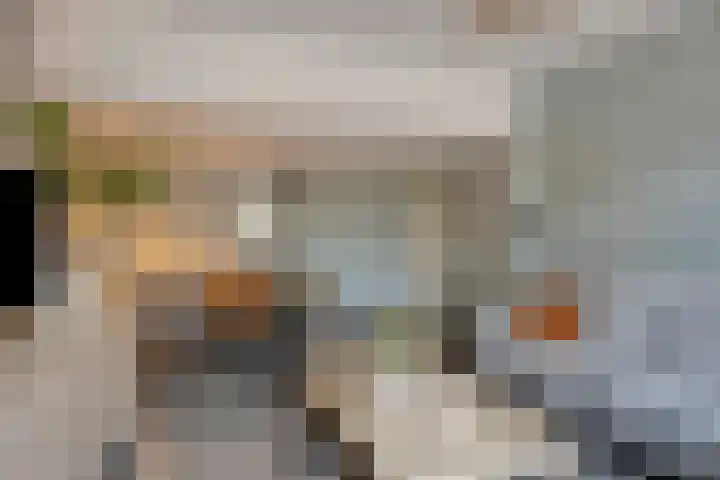 Meesweg 8 Berg en Terblijt thumbnail 10