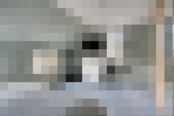 Meesweg 8 Berg en Terblijt thumbnail 19
