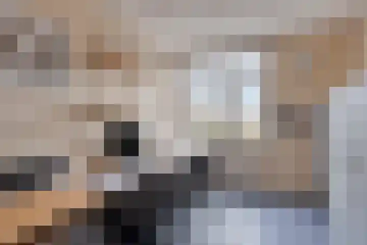 Meesweg 8 Berg en Terblijt thumbnail 25