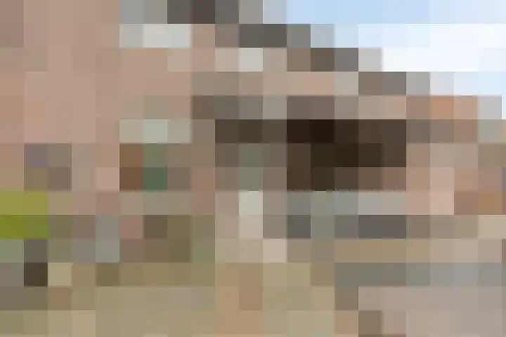Meesweg 8 Berg en Terblijt thumbnail 29