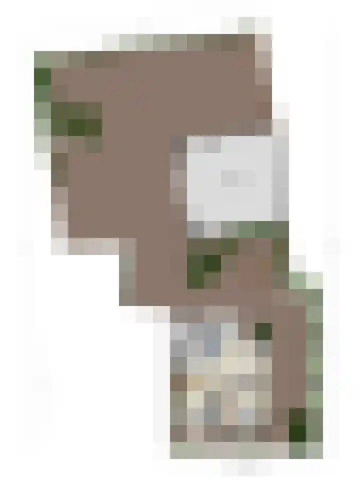 Meesweg 8 Berg en Terblijt thumbnail 43