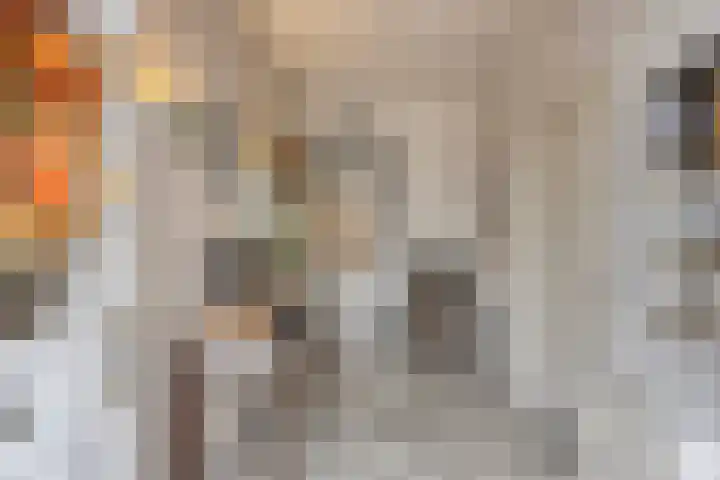 Meesweg 8 Berg en Terblijt thumbnail 6