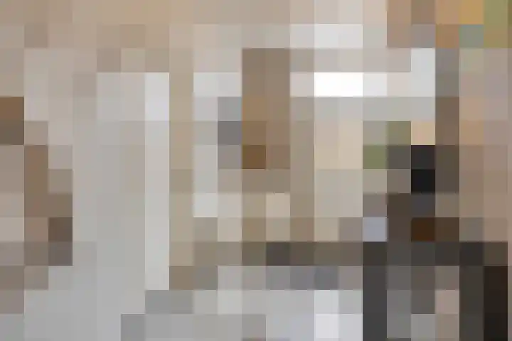 Meesweg 8 Berg en Terblijt thumbnail 7