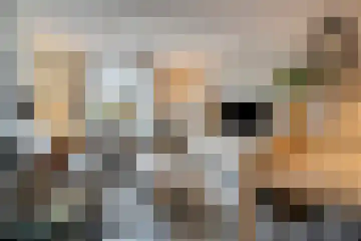 Meesweg 8 Berg en Terblijt thumbnail 8