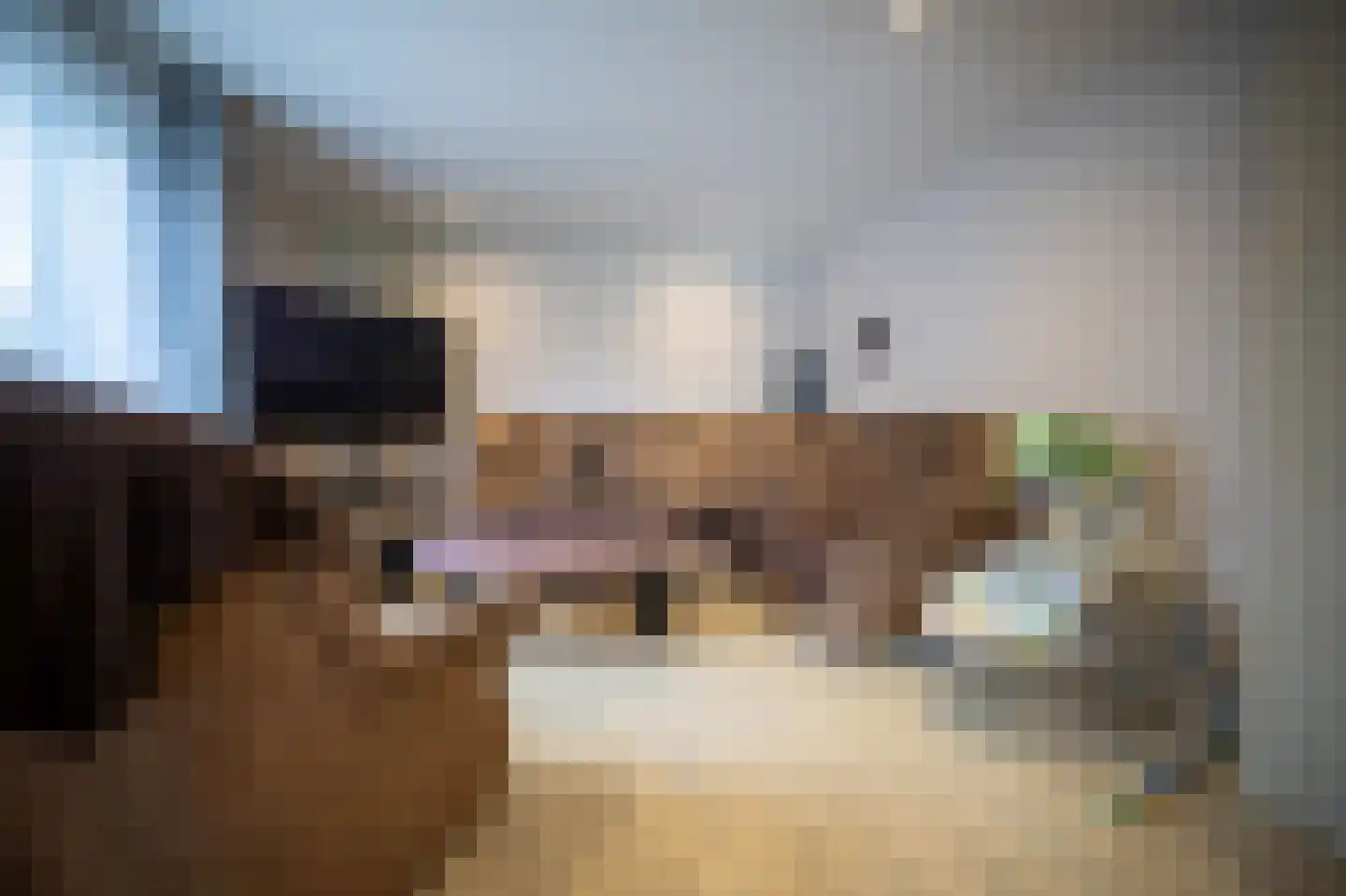 Meetkamp 6 Megchelen thumbnail 10