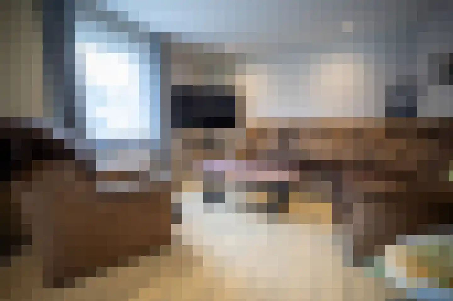 Meetkamp 6 Megchelen thumbnail 11