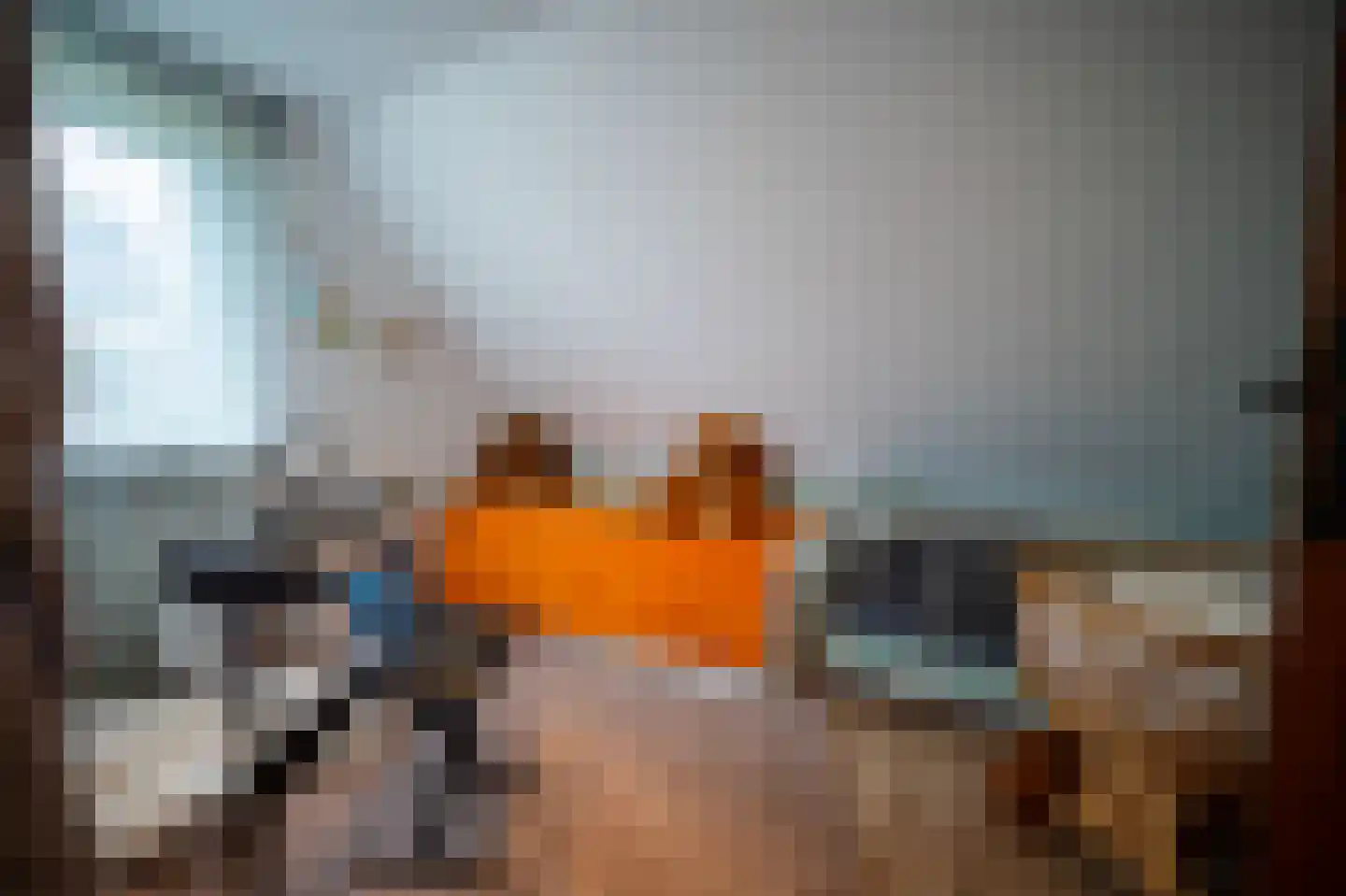 Meetkamp 6 Megchelen thumbnail 13