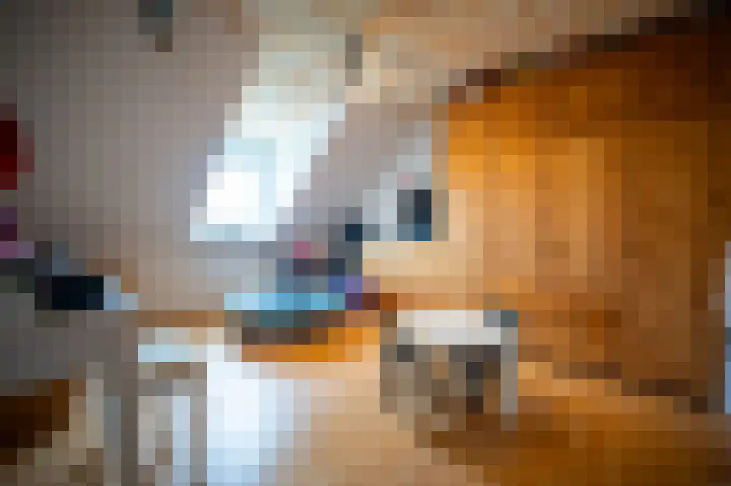 Meetkamp 6 Megchelen thumbnail 16
