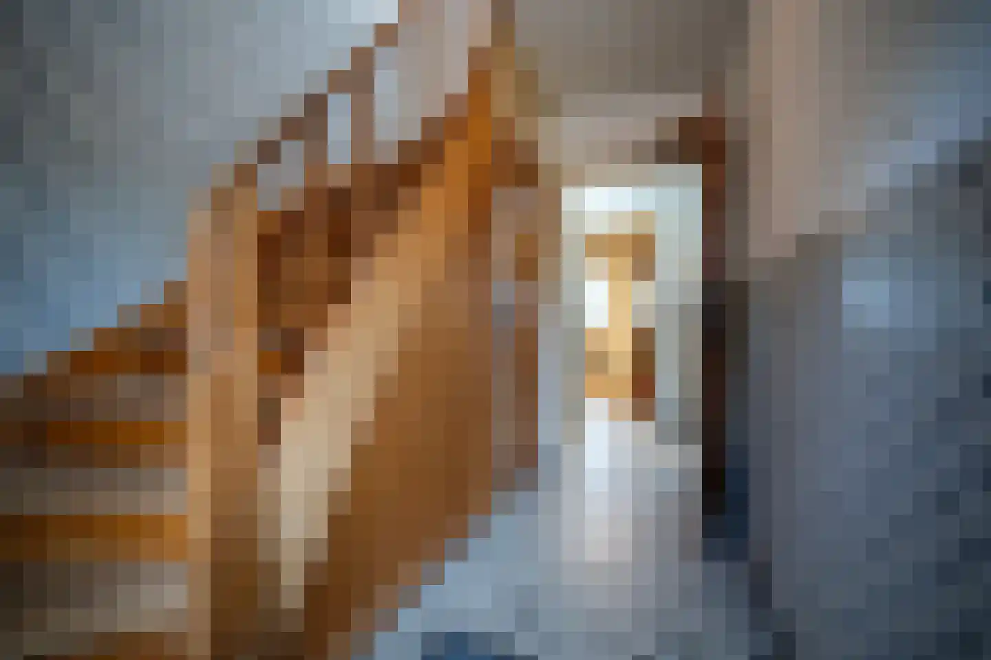 Meetkamp 6 Megchelen thumbnail 21