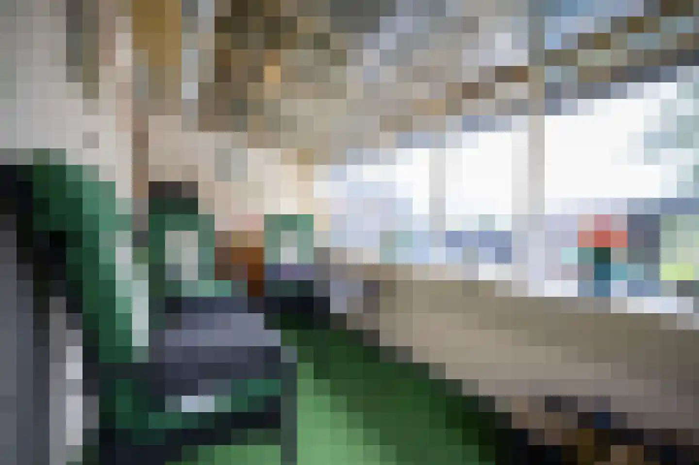 Meetkamp 6 Megchelen thumbnail 26