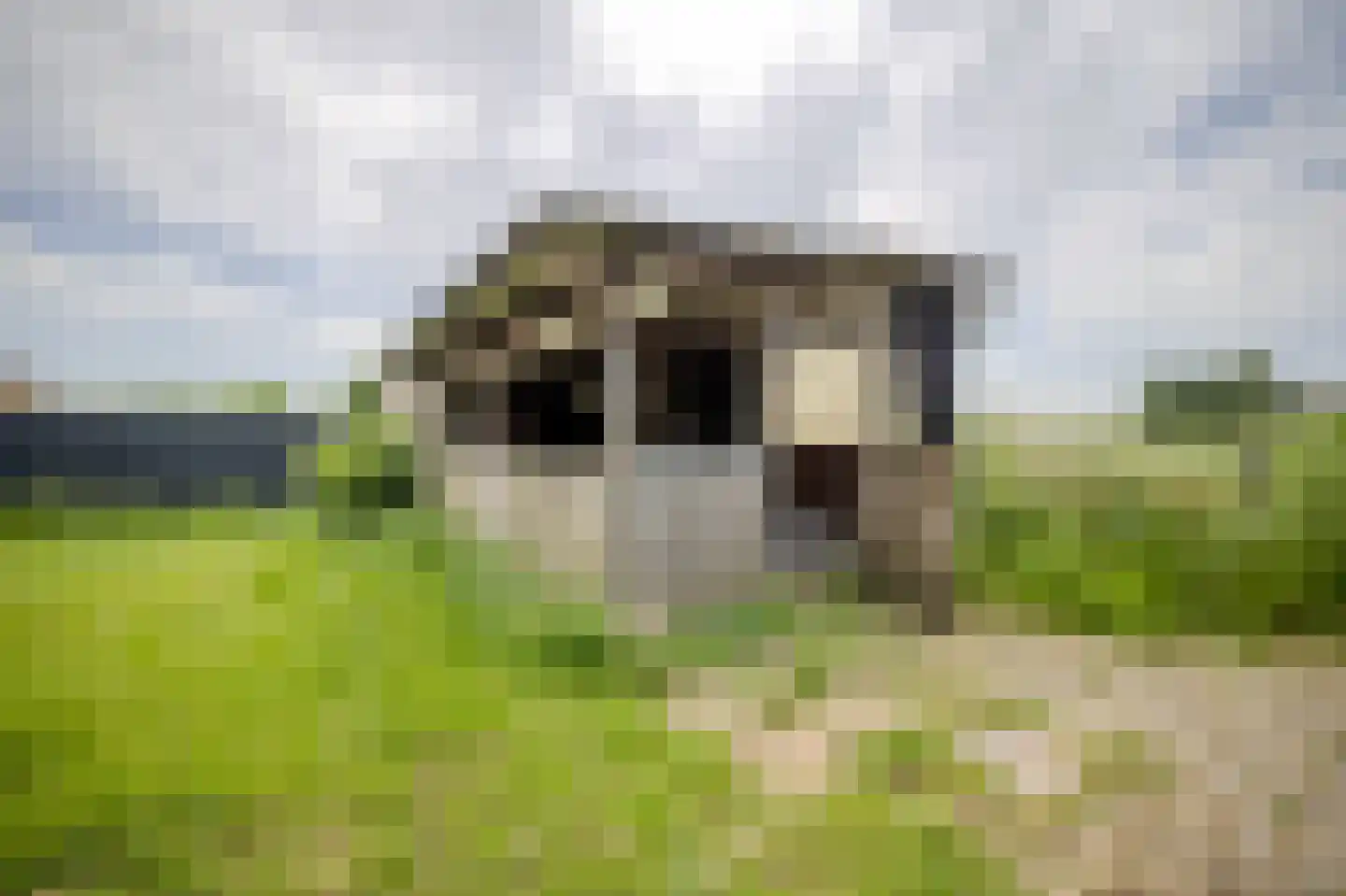 Meetkamp 6 Megchelen thumbnail 31