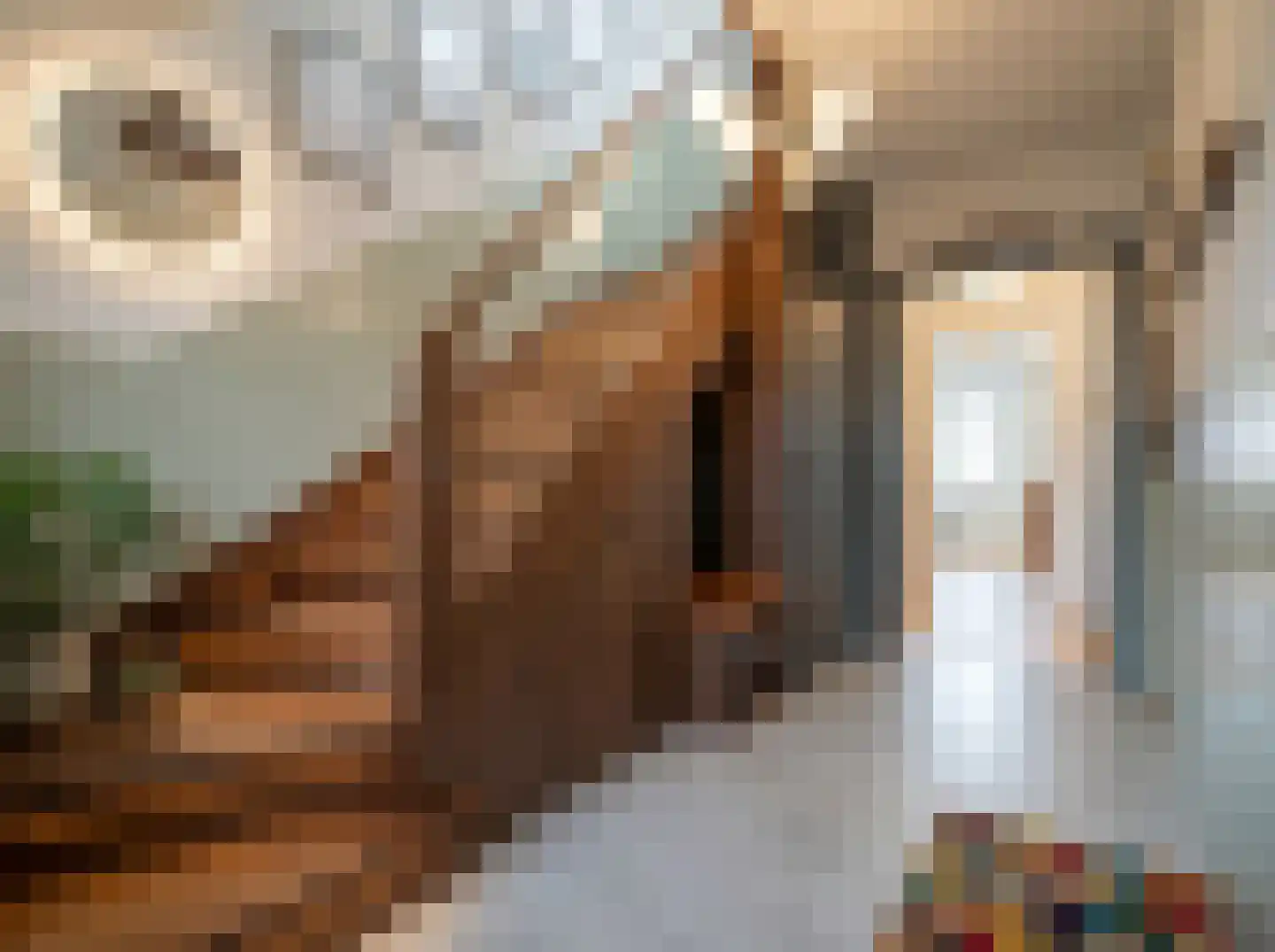 Meetkamp 6 Megchelen thumbnail 32