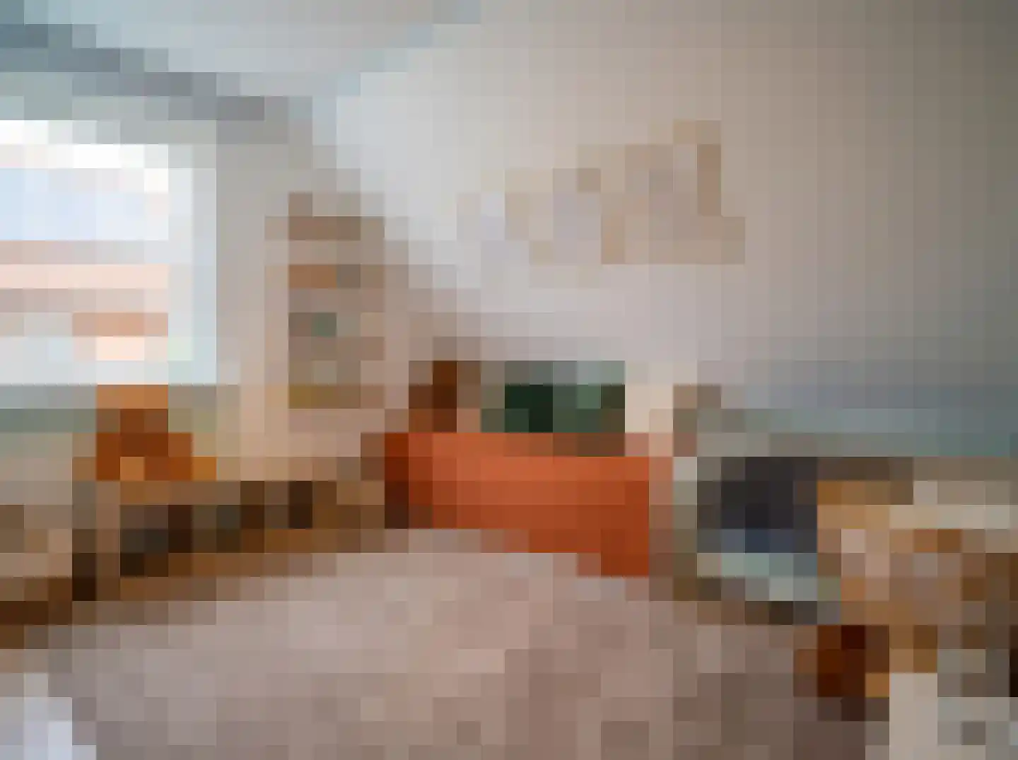Meetkamp 6 Megchelen thumbnail 33