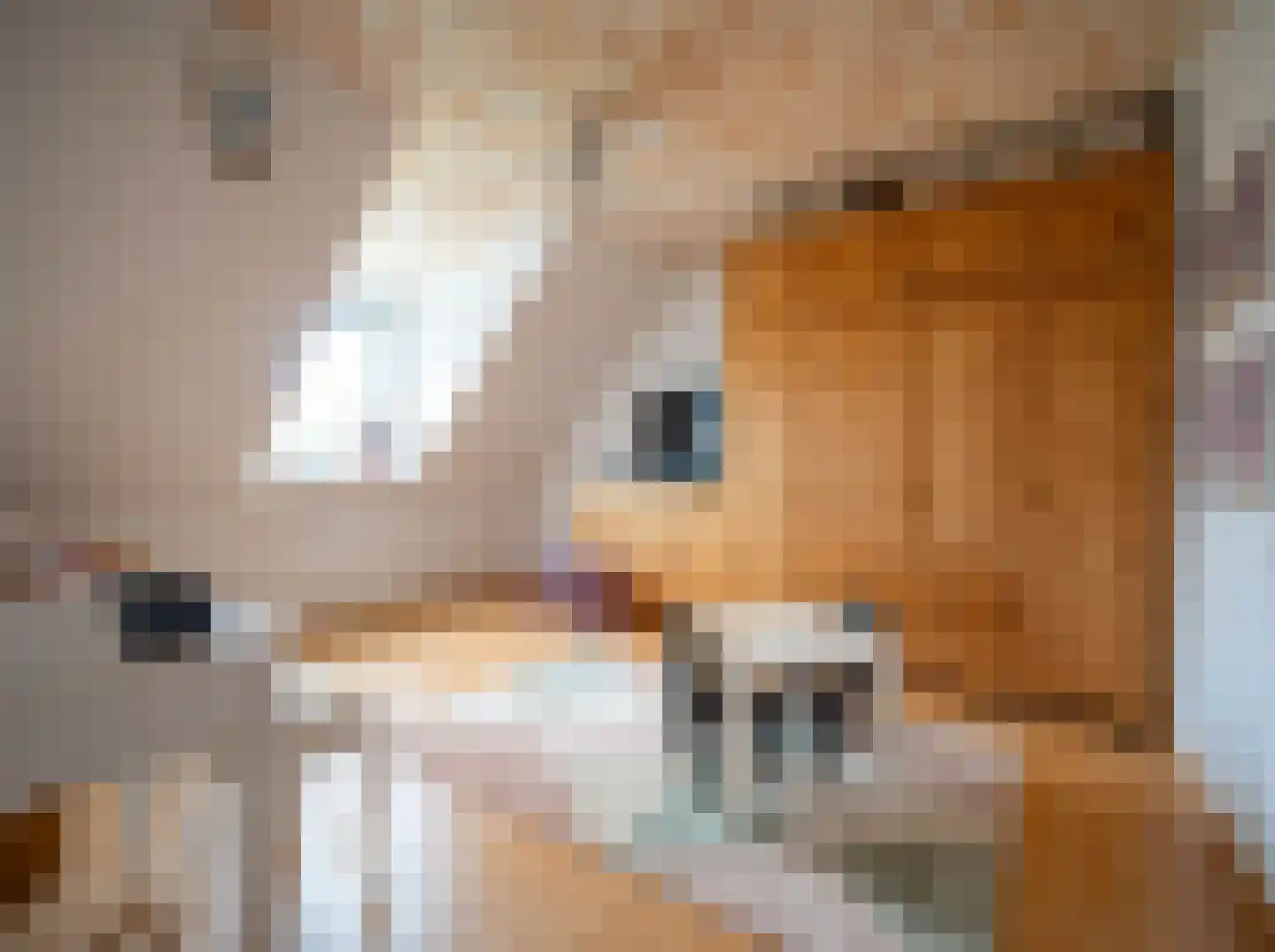Meetkamp 6 Megchelen thumbnail 41