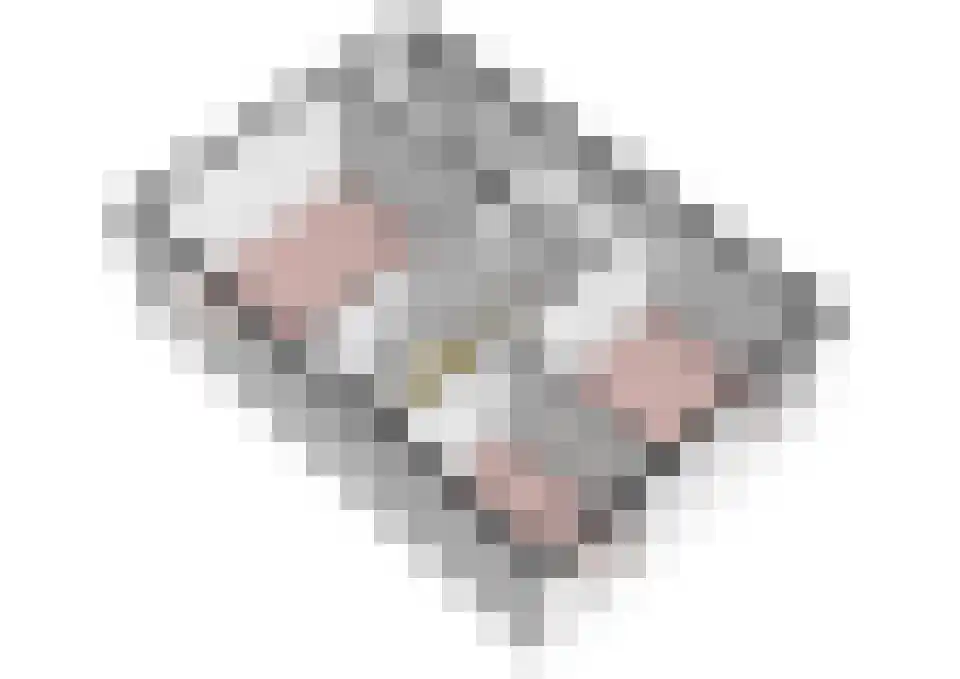 Meetkamp 6 Megchelen thumbnail 48