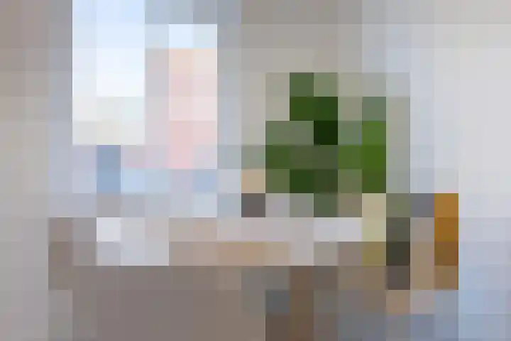 Meeussenstraat 1 Bergen op Zoom thumbnail 16