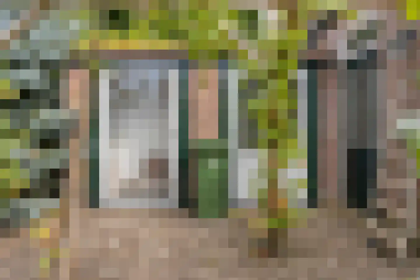 Meeussenstraat 22 Bergen op Zoom thumbnail 35
