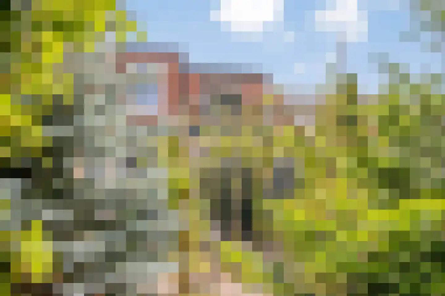 Meeussenstraat 22 Bergen op Zoom thumbnail 38