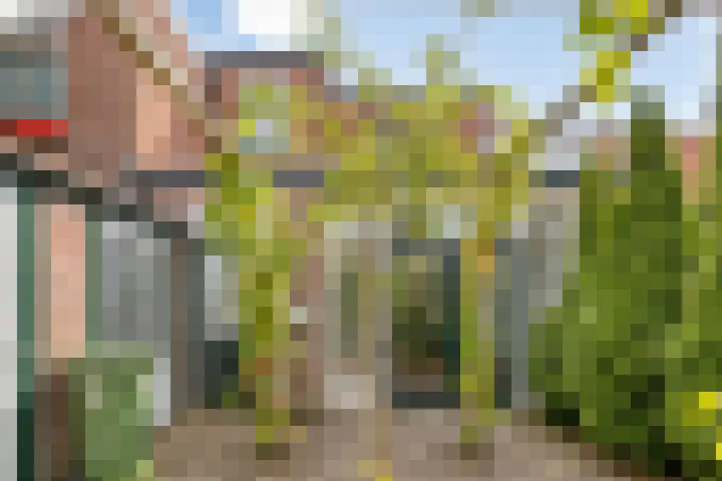 Meeussenstraat 22 Bergen op Zoom thumbnail 39