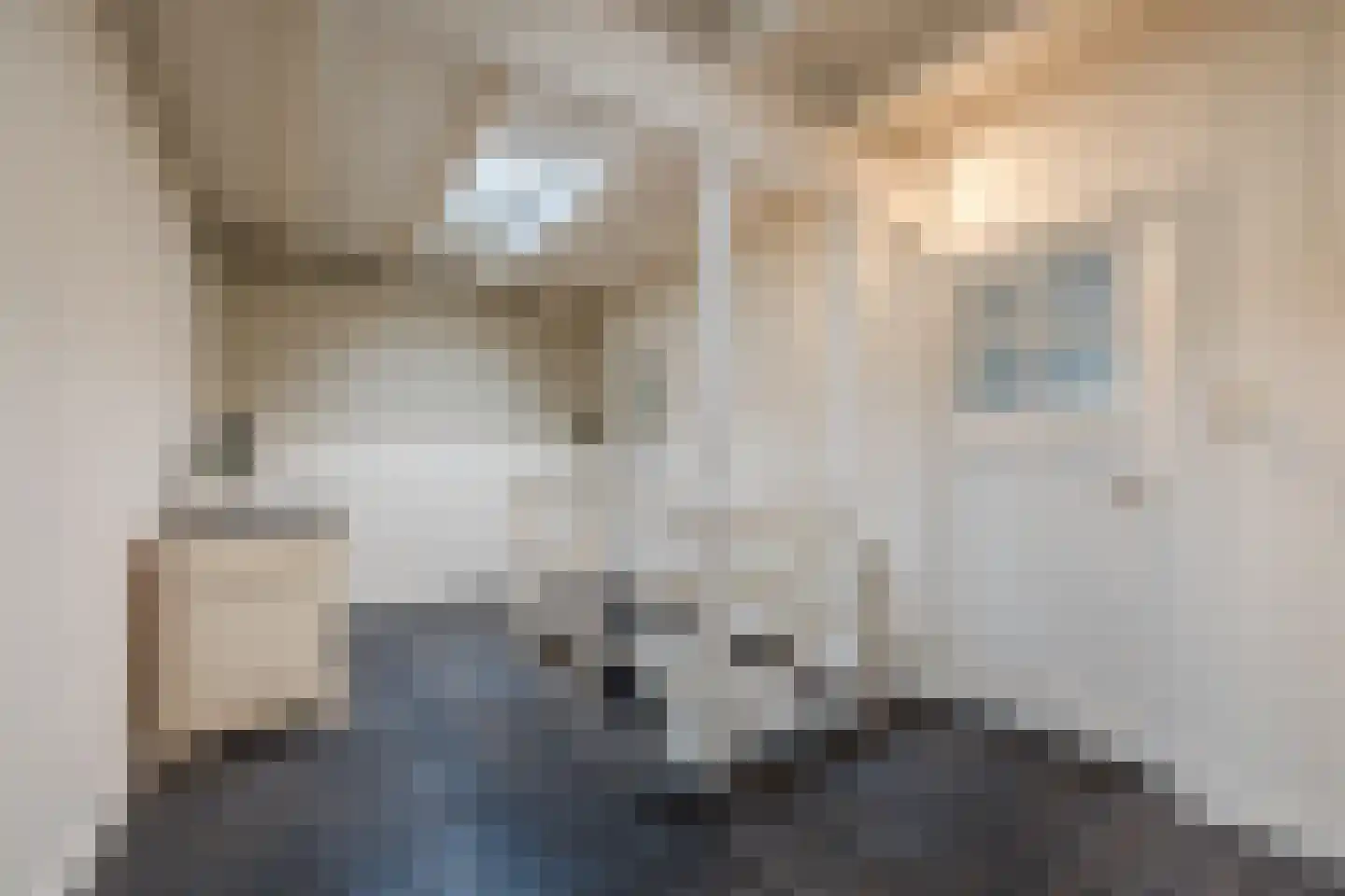 Meeussenstraat 5 Bergen op Zoom thumbnail 31