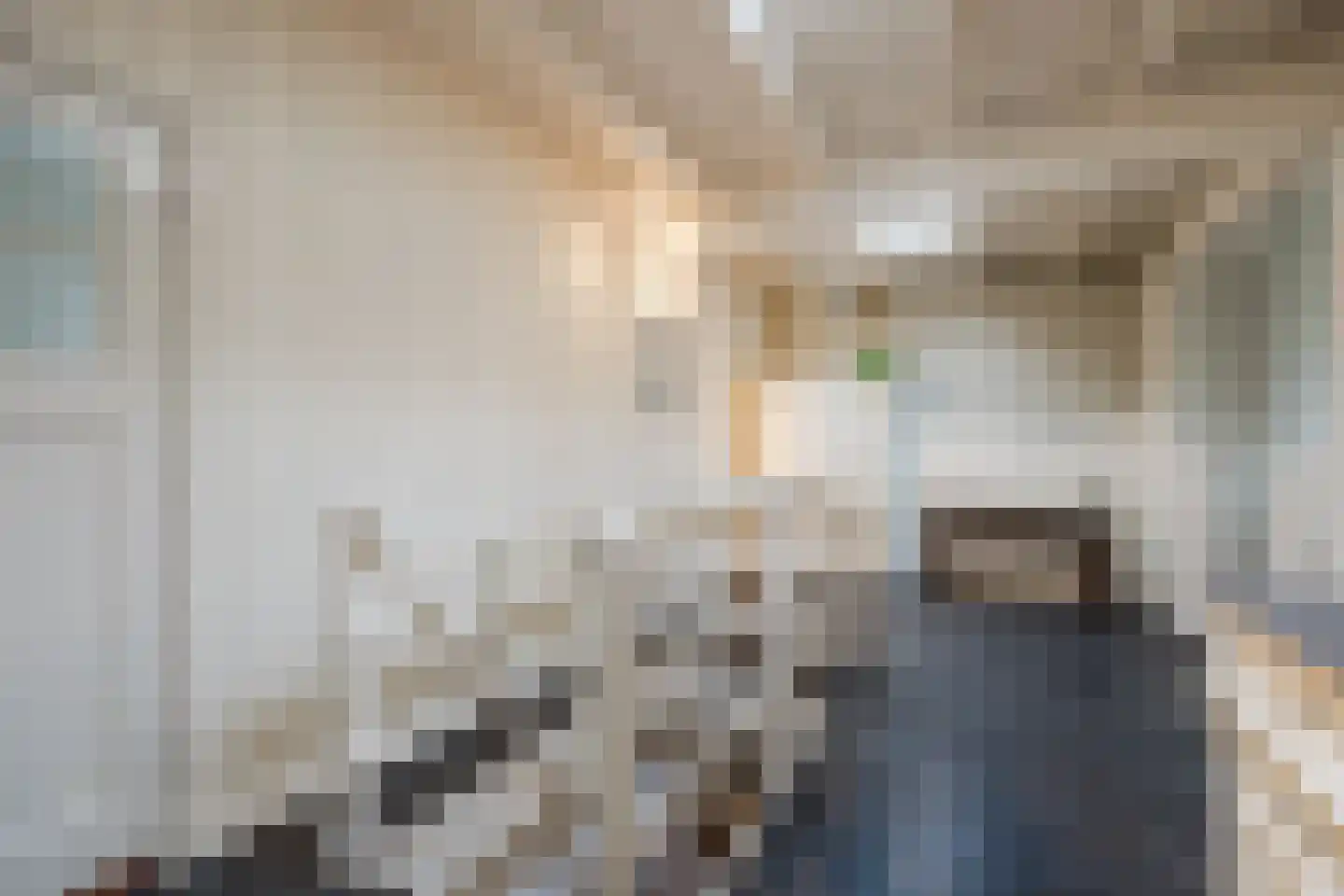 Meeussenstraat 5 Bergen op Zoom thumbnail 32