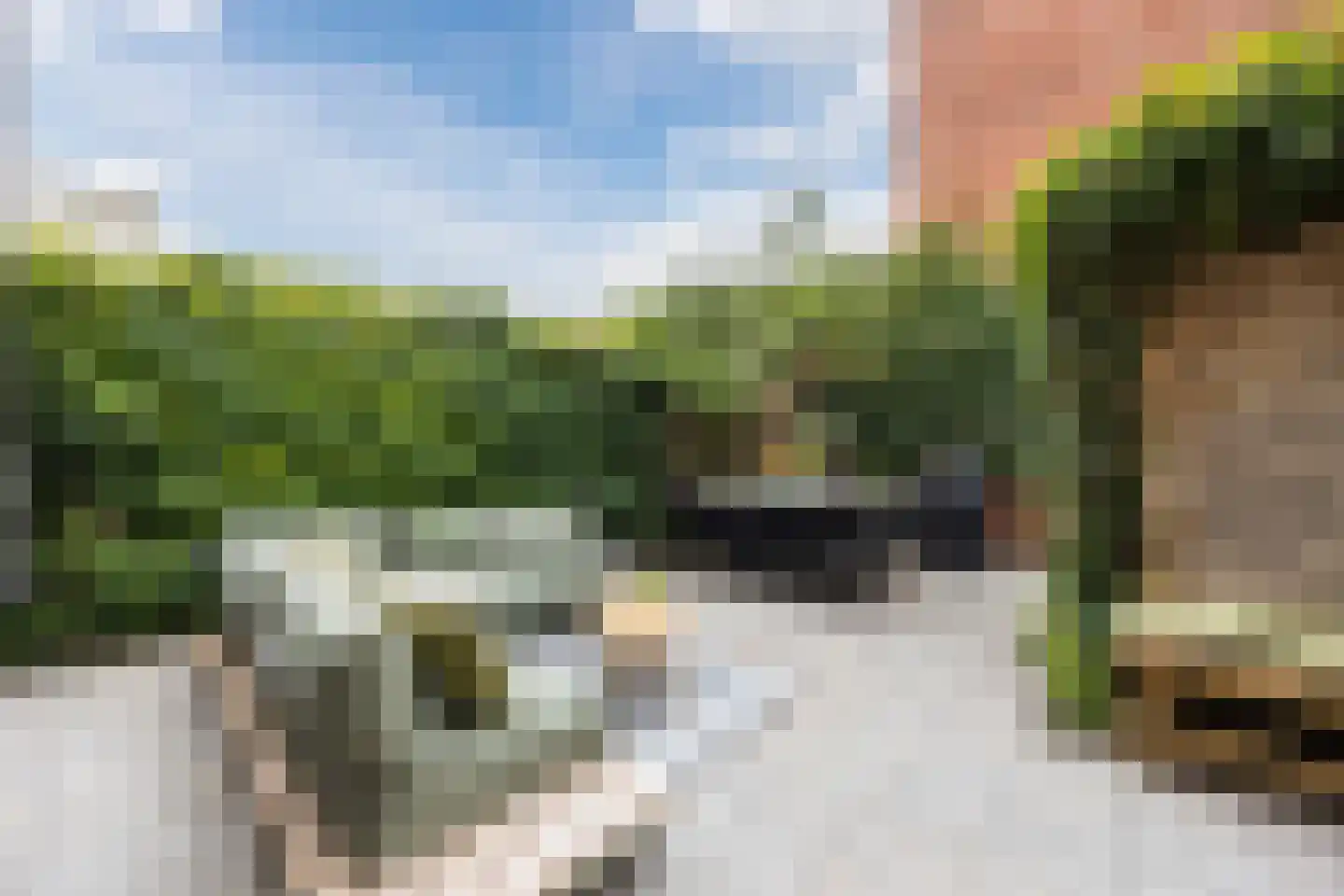 Meeussenstraat 5 Bergen op Zoom thumbnail 33