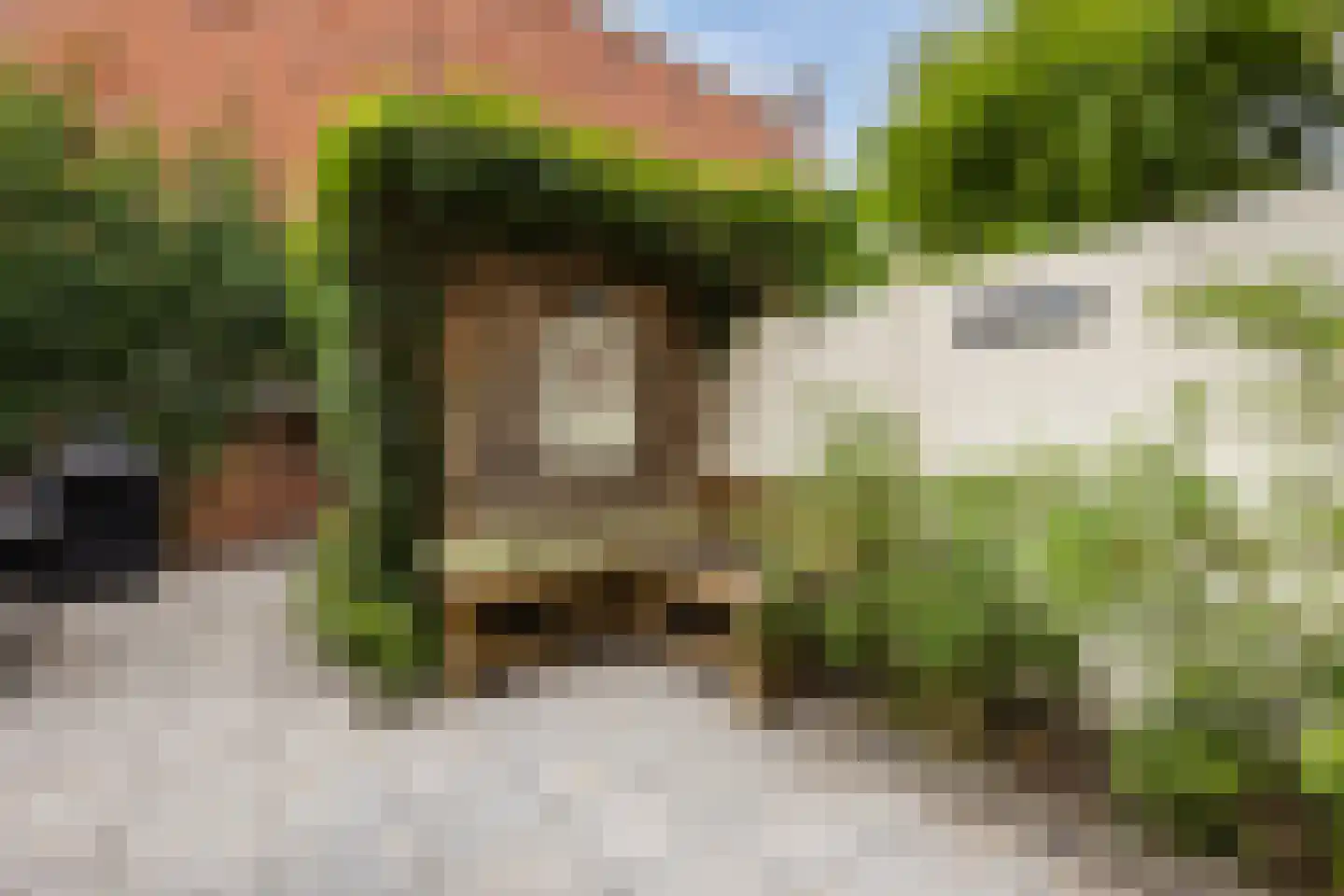Meeussenstraat 5 Bergen op Zoom thumbnail 34