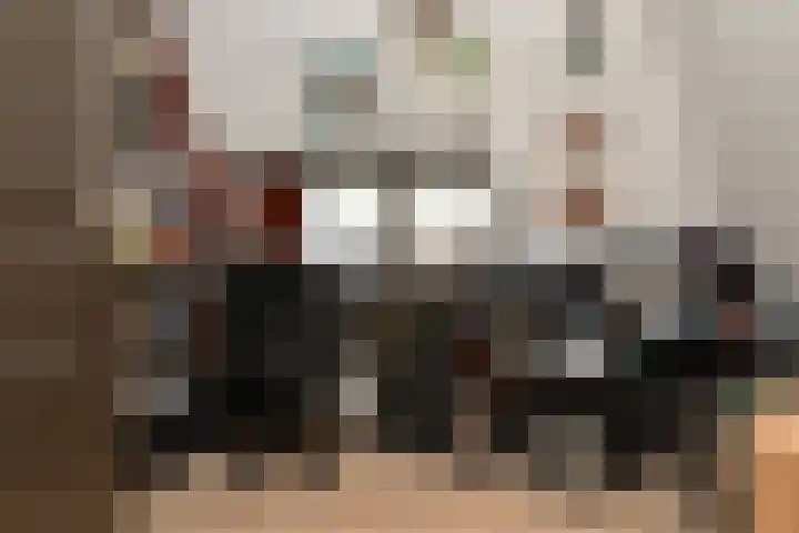 Meeussenstraat 7 Bergen op Zoom thumbnail 24