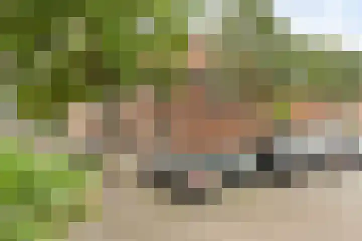 Meeussenstraat 7 Bergen op Zoom thumbnail 29