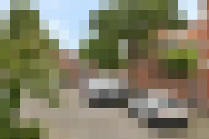 Meeussenstraat 7 Bergen op Zoom thumbnail 30