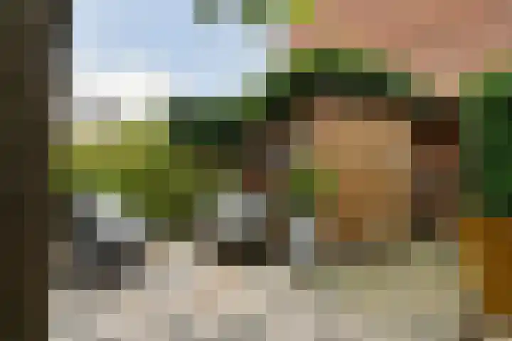 Meeussenstraat 7 Bergen op Zoom thumbnail 6