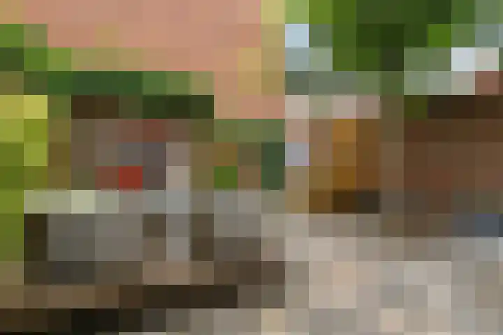 Meeussenstraat 7 Bergen op Zoom thumbnail 8