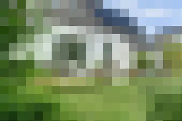 Meeuw 2 Broek op Langedijk thumbnail 10