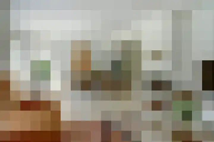 Meeuw 2 Broek op Langedijk thumbnail 13