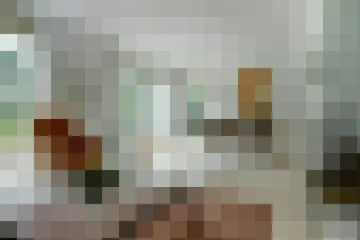 Meeuw 2 Broek op Langedijk thumbnail 14