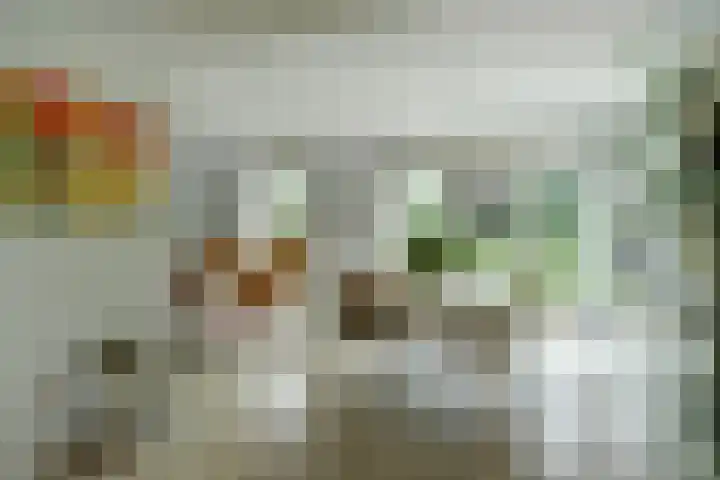Meeuw 2 Broek op Langedijk thumbnail 15