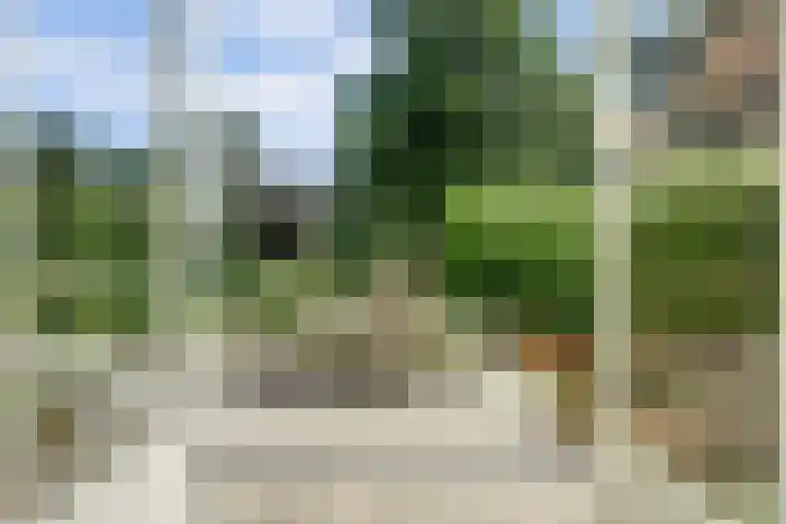 Meeuw 2 Broek op Langedijk thumbnail 16