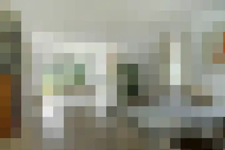 Meeuw 2 Broek op Langedijk thumbnail 17