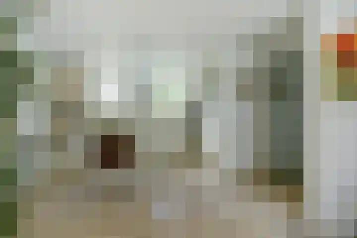 Meeuw 2 Broek op Langedijk thumbnail 18
