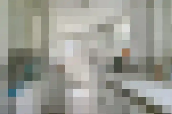 Meeuw 2 Broek op Langedijk thumbnail 21