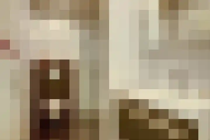 Meeuw 2 Broek op Langedijk thumbnail 23