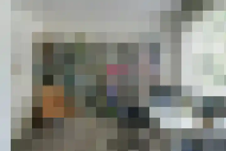 Meeuw 2 Broek op Langedijk thumbnail 24
