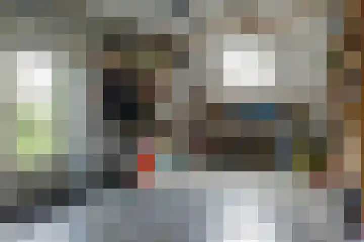 Meeuw 2 Broek op Langedijk thumbnail 26